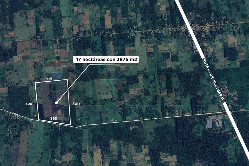 Terreno - Venta - Yataity del Norte, San Pedro, Paraguay — foto 2