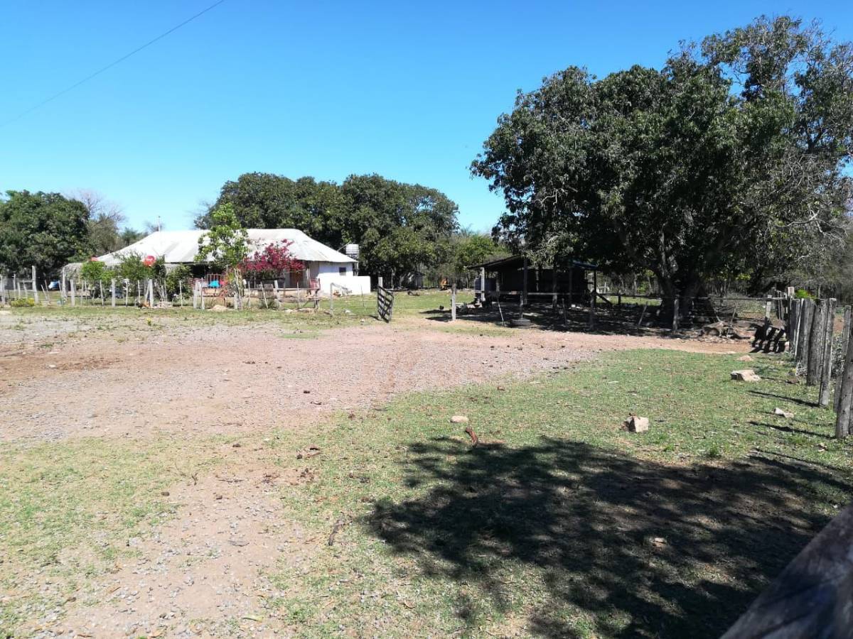VENDO ESTANCIA EN CAAPUCÚ DE 475 HECTÁREAS — foto 3