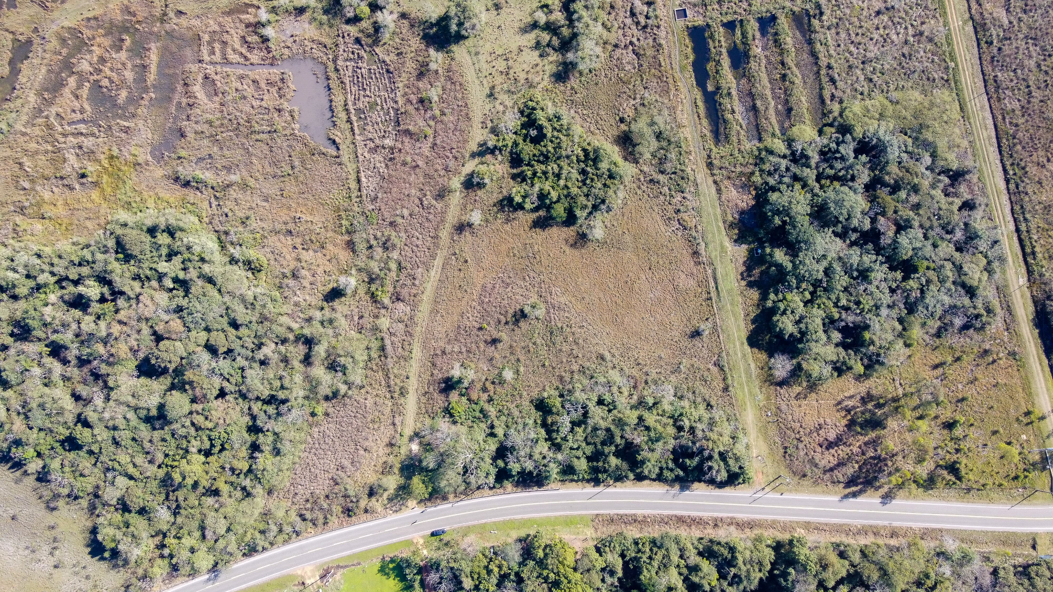 Vendo Terreno de 6 hectáreas Eusebio Ayala  Cordillera — foto 3