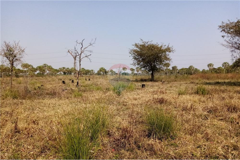 Estancia/Campo - Venta - Villa Hayes, Paraguay — foto 3