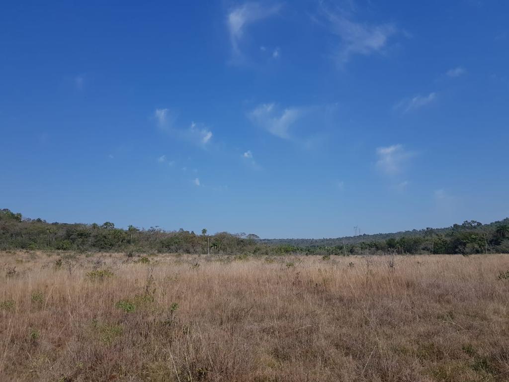 Venta 102 Hectareas en Nueva Colombia — foto 3