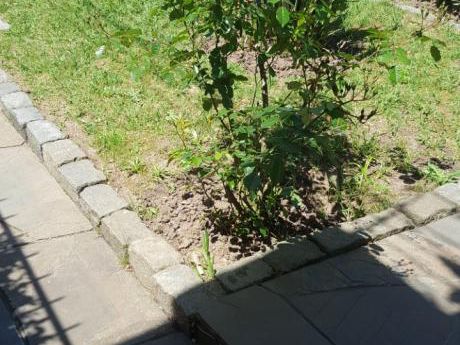 Vendo Casa Un Dormitorio Jardín Y Patio Con Parrillero En Buceo Sur