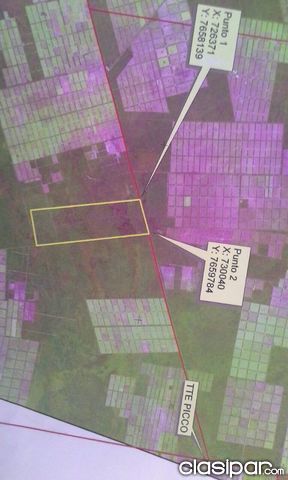 Vendo Campo Virgen De 5.000 Hectareas En Fortin Tte. Picco-chaco, Boqueron
