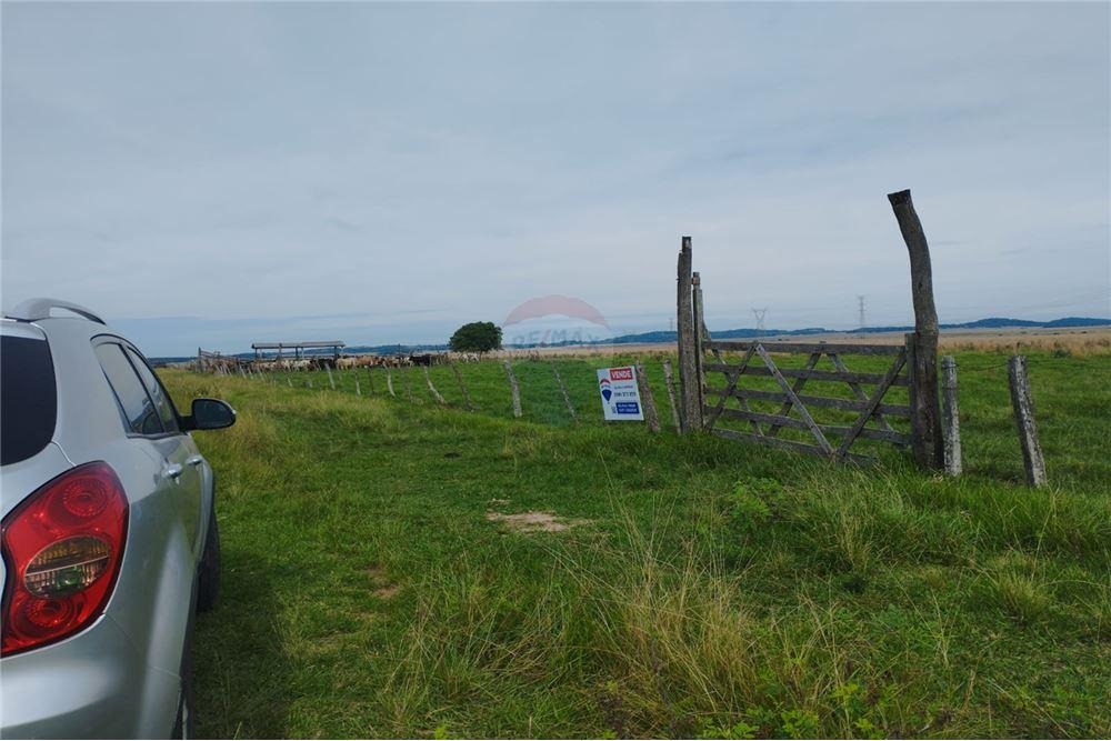VENDO CAMPO EN SAN MIGUEL MISIONES 102 HECTAREAS — foto 2