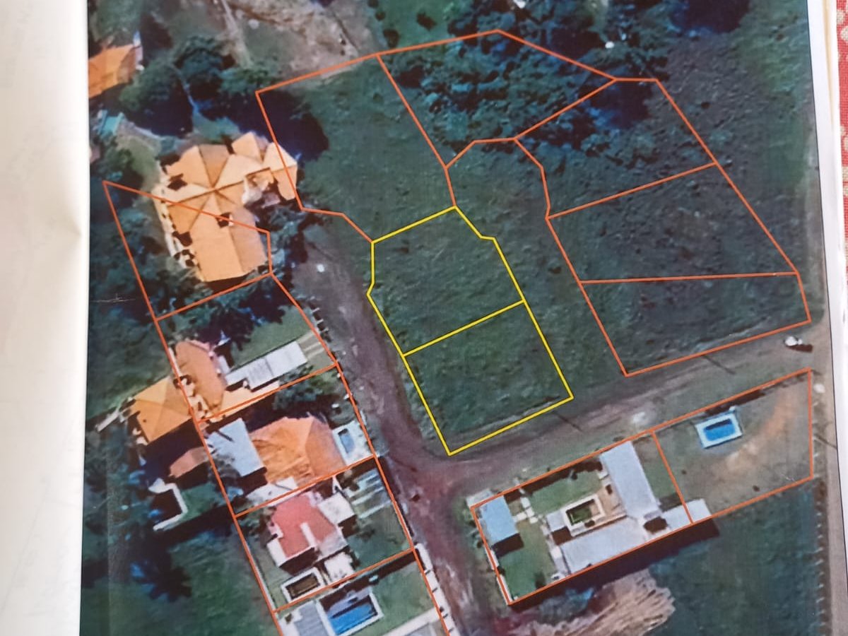 VENDO TERRENO DE 500M2 EN BARRIO CERRADO PUERTA DEL LAGO — foto 3