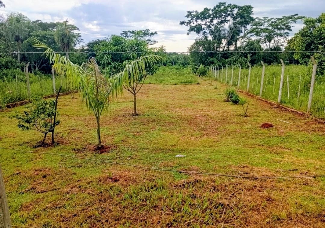 Vendo amplio  terreno de 2.775 m2 en Yaguarón ideal para casa quinta — foto 2