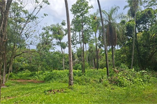 Terreno-Venta- San Bernardino, Cordillera — foto 2