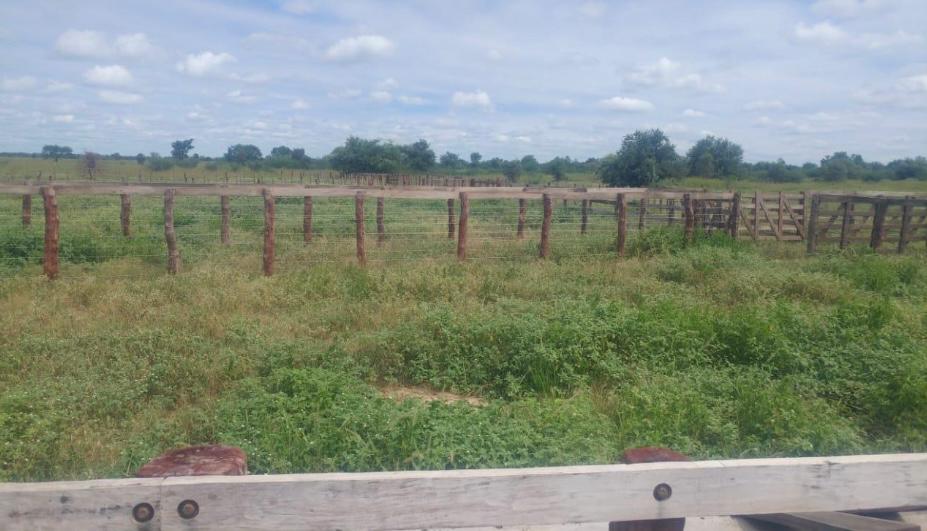Vendo Estancia de 13.500 has Zona Infante Rivarola, Boquerón-CLLA4969762 — foto 3