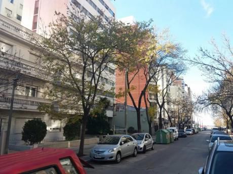 Apto En Pagola Y Berro 2do Piso Por Escalera 55mts 1 Dor,