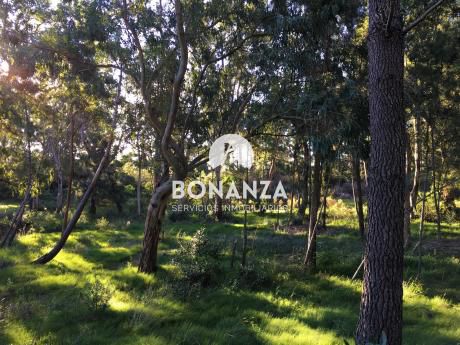 Terreno En Venta,piriápolis,punta Colorada, 700 M De Playa