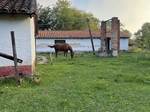 ???? GRAN ESTANCIA EN VENTA – MISIONES, PARAGUAY ???? — foto 3