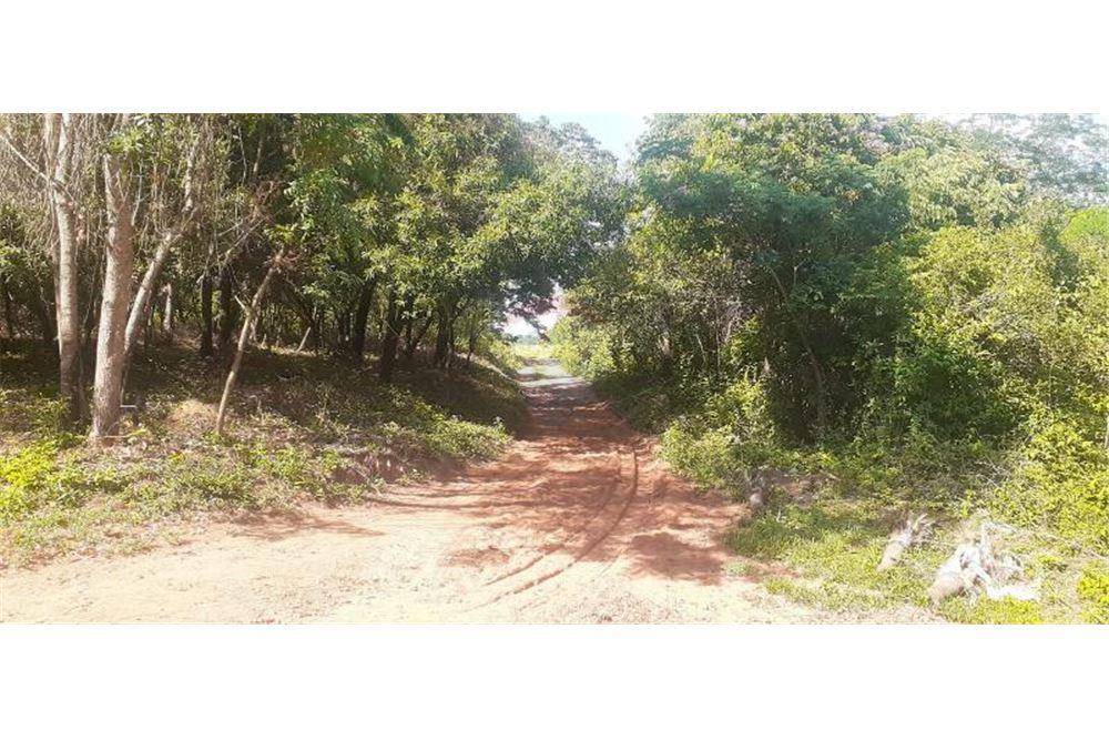 VENDO TERRENO EN LA CIUDAD DE ALTOS — foto 3