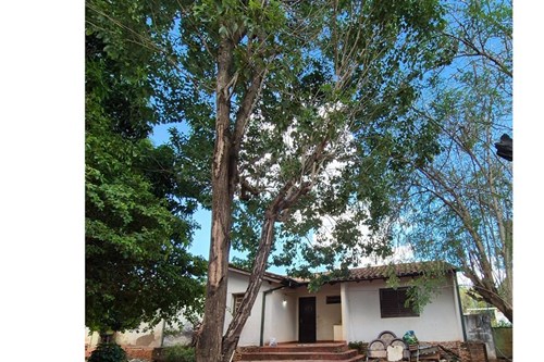 Casa-Alquiler-sargento maidana, Costa Salinares, Capiata, Central — foto 3