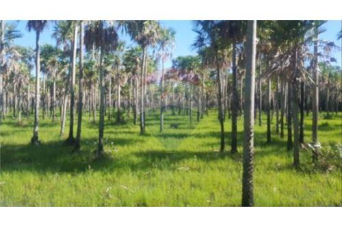 Estancia/Campo-Venta-PY Alto Paraguay Fuerte Olimpo ZONA TORO PAMPA — foto 3
