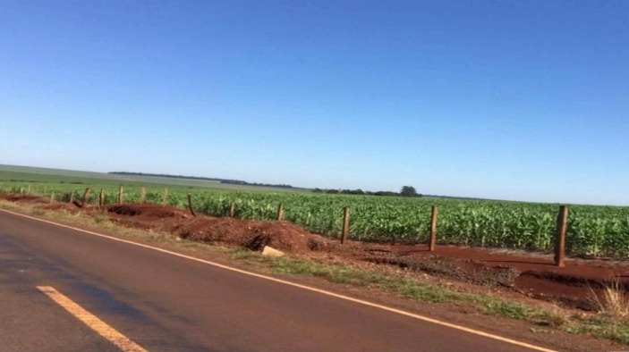 Vendo Campo de 900 has en Cedrales, Alto Paraná-CLCS5177308 — foto 2