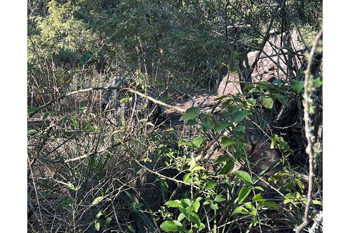 Vendo TERRENO en VALENZUELA, CORDILLERA — foto 2