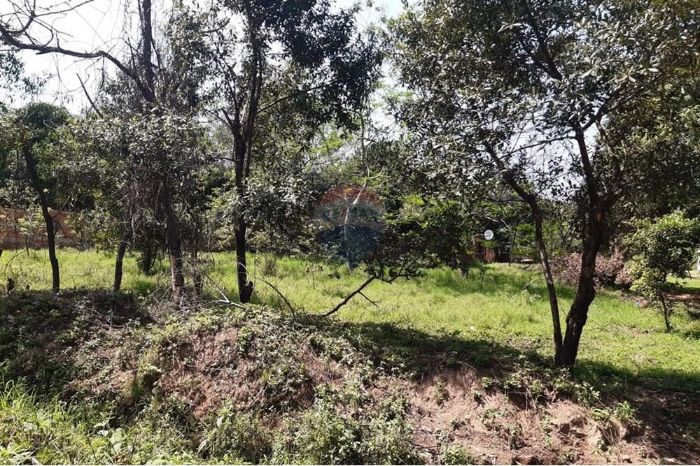 VENDO 3 TERRENO EN LUQUE junto o separados. Paraguay — foto 2