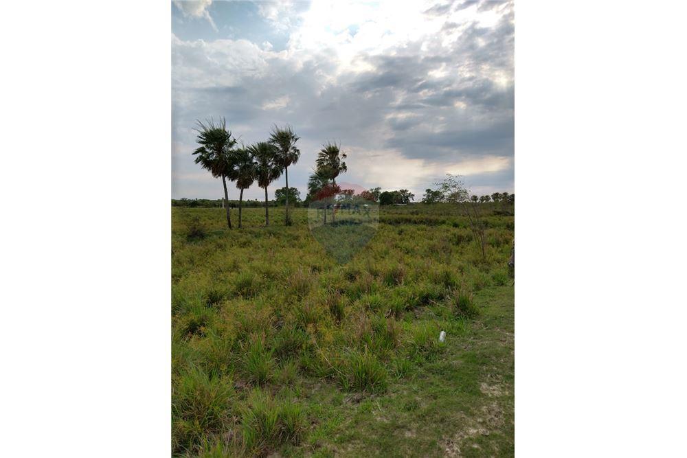 Estancia/Campo - Venta - Villa Oliva, Ñeembucú, Paraguay — foto 3
