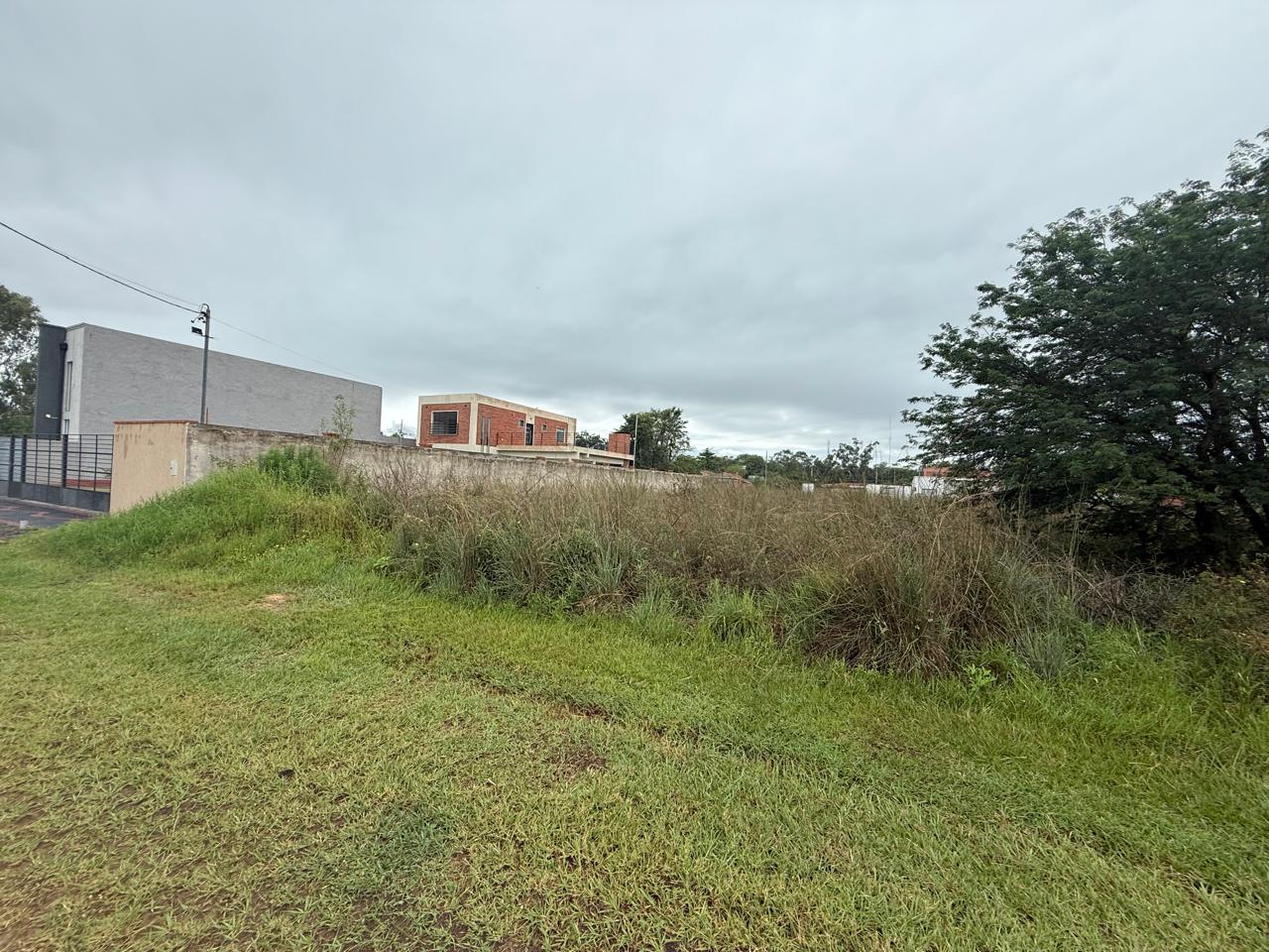 En venta amplio terreno en San Bernardino — foto 3