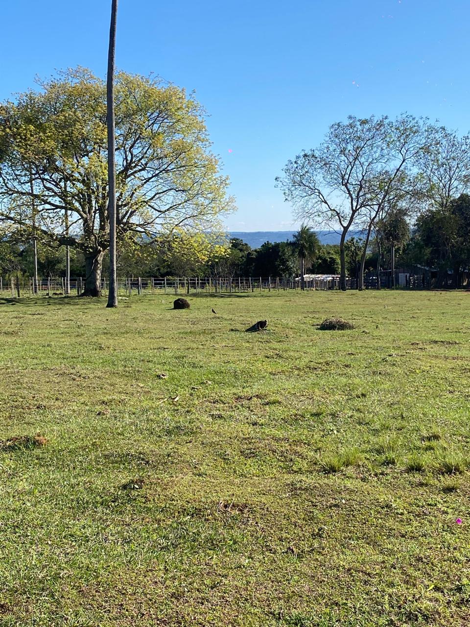 Terreno en venta en Atyrá — foto 2