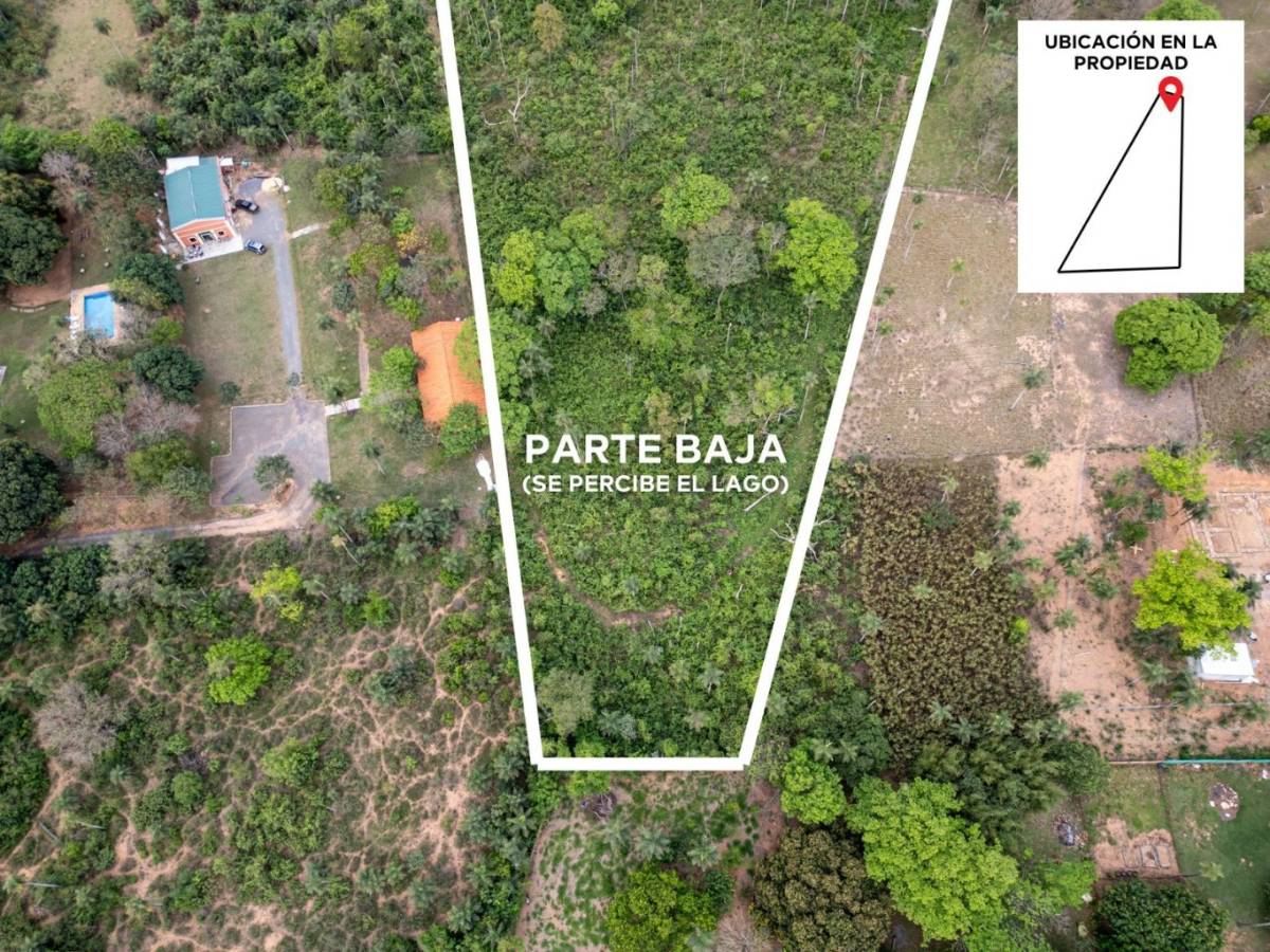 3,5 HECTÁREAS CON VISTA AL LAGO YPACARAÍ — SAN BERNARDINO — foto 3