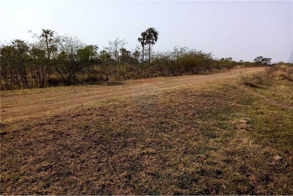 Estancia/Campo - Venta - Paraguay Presidente Hayes Villa Hayes — foto 2