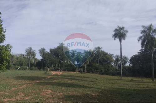 VENDO TERRENO EN NUEVA COLOMBIA — foto 3