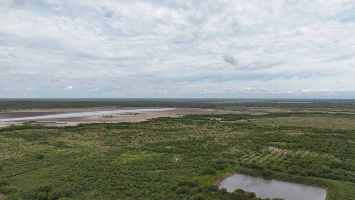 Estancia Formada - Campo titulado en venta — foto 3