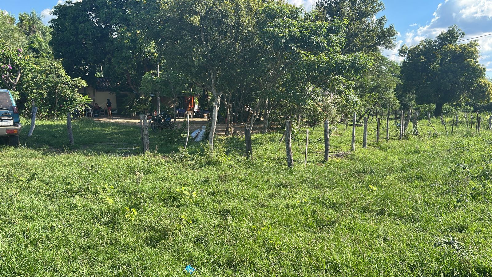 En Venta Campo De 30 Hectáreas En Cerro Vera, Pirayu- Paraguari — foto 3