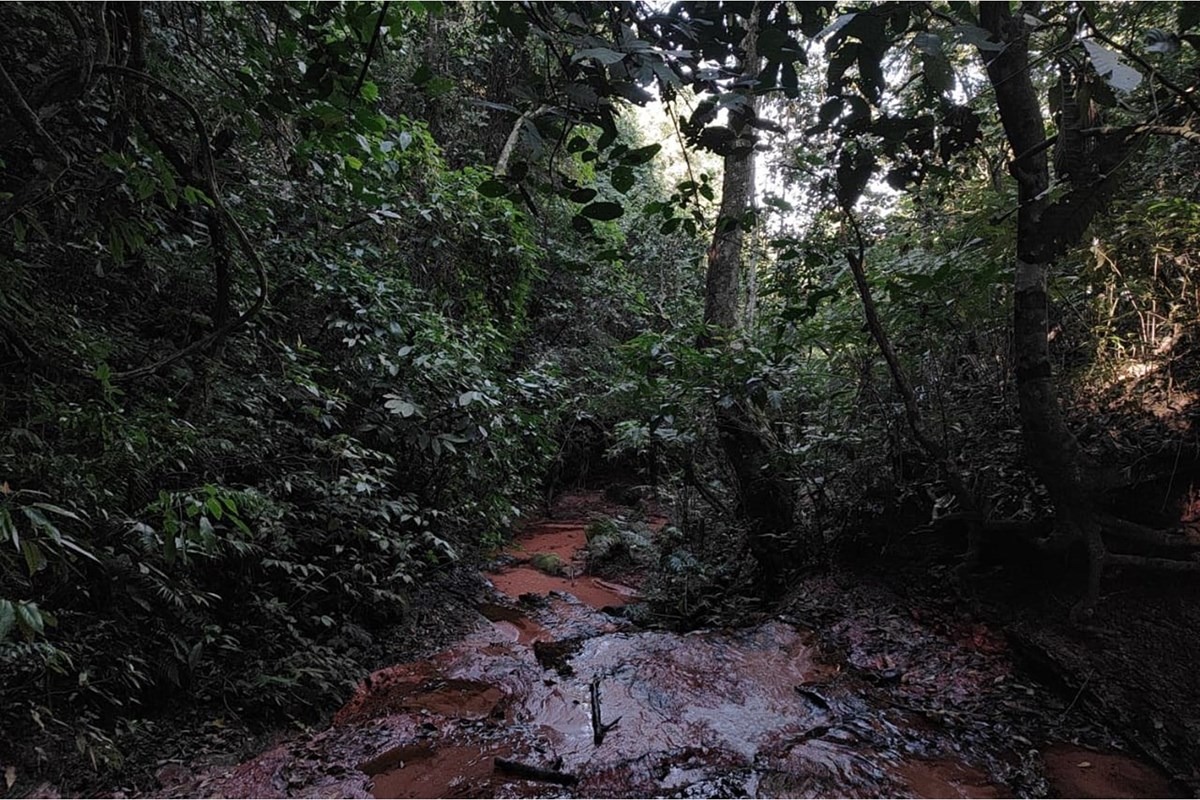 Venta de Casa Quinta GRANJA TIERRA DE UZ, CAAGUAZÚ, CAAGUAZÚ — foto 3