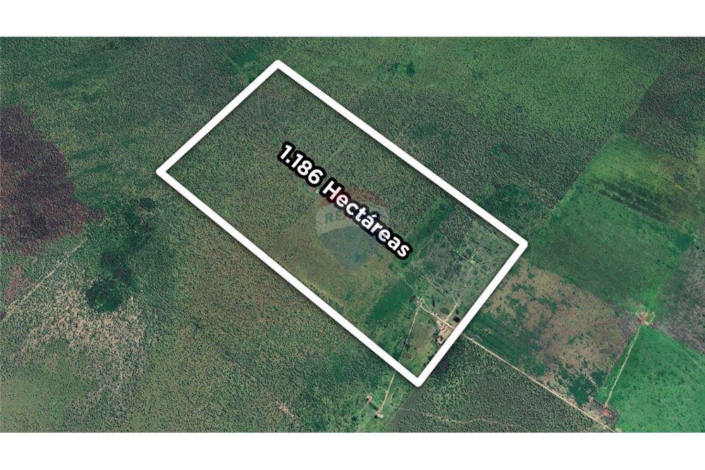 GRAN OPORTUNIDAD DE INVERSIÓN: 1.189,8 HAS, PRESIDENTE HAYES — foto 2
