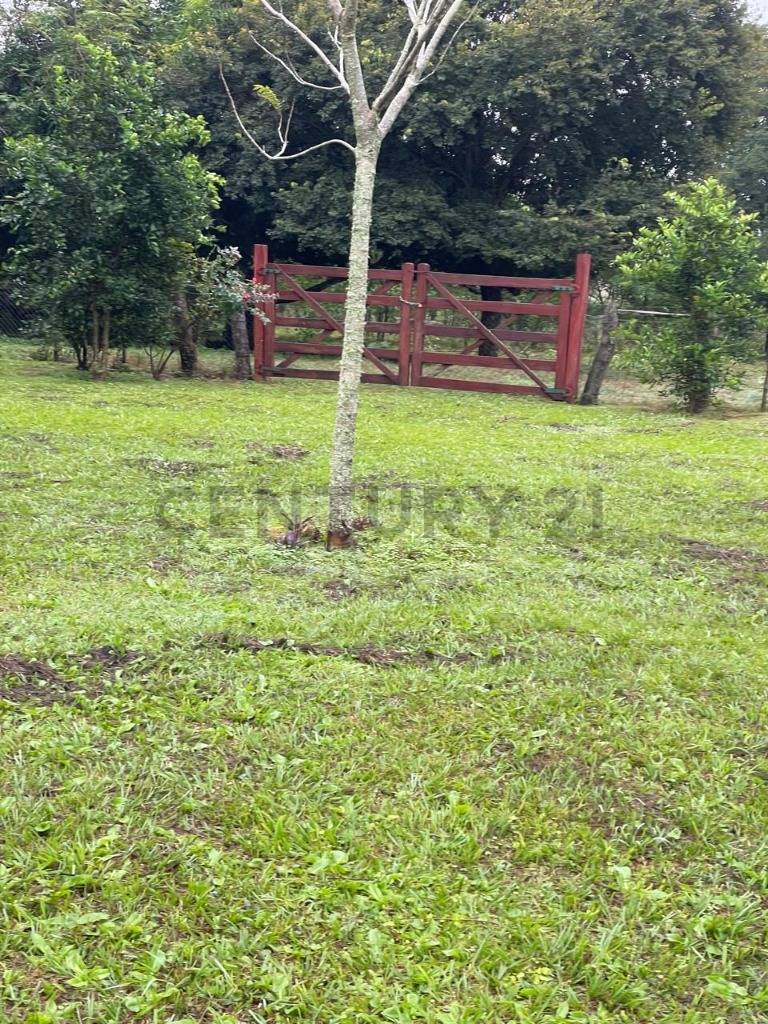 Casa Quinta A Metros Del Rio Tebicuary - Maria Antonia — foto 3