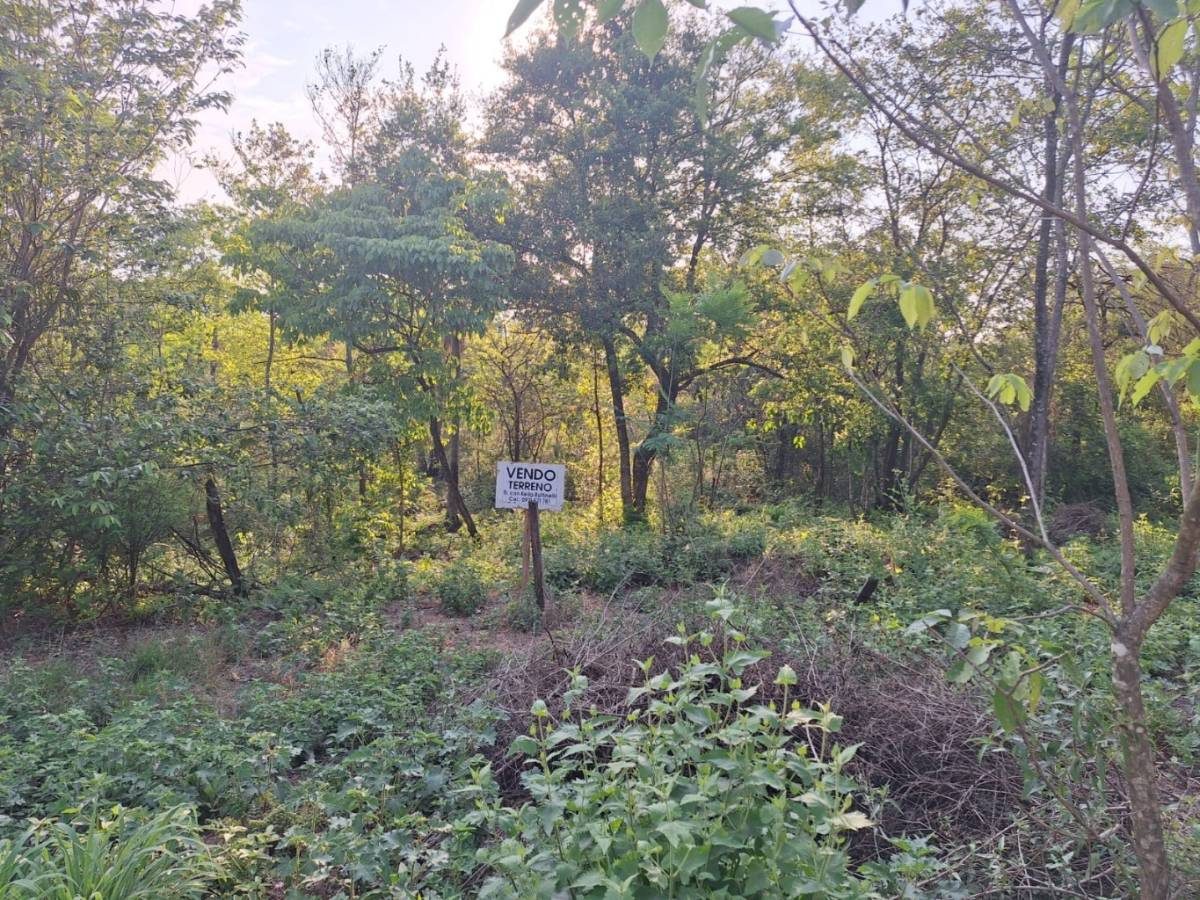Vendo hermoso terreno en Ciervo Cua — foto 2