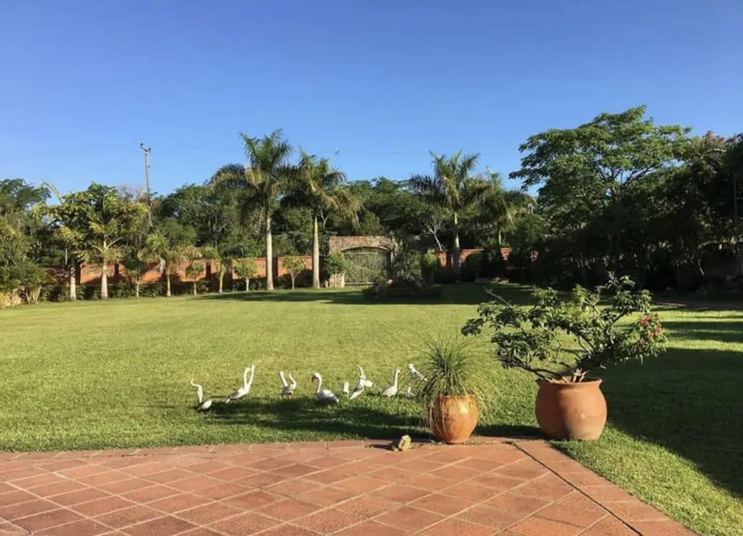 VENDO IMPONENTE QUINTA EN NUEVA COLOMBIA S/ RUTA — foto 3