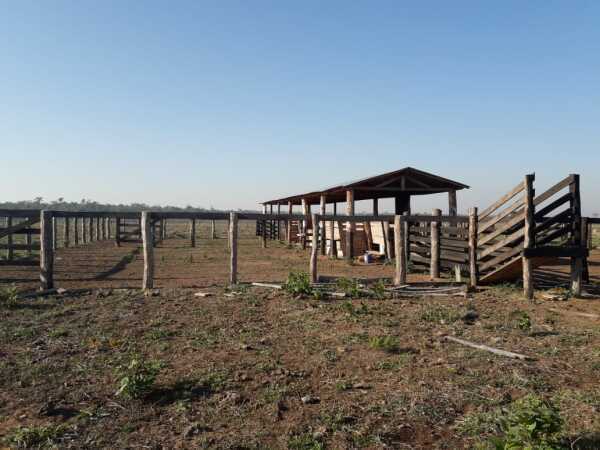 VENDO PROPIEDAD RURAL EN ALTO PARANÁ DISTRITO DE ITAKYRY — foto 2