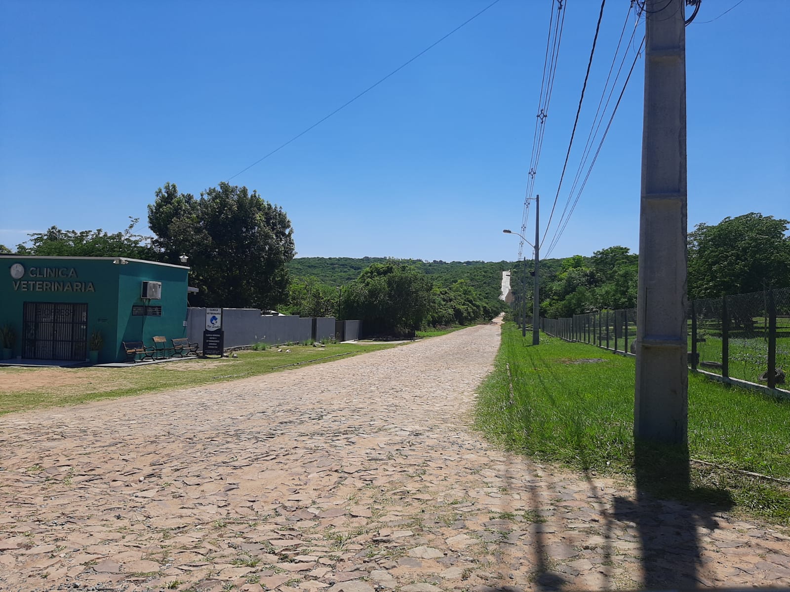 Terreno En Venta En San Bernardino Ciervo Cua — foto 2