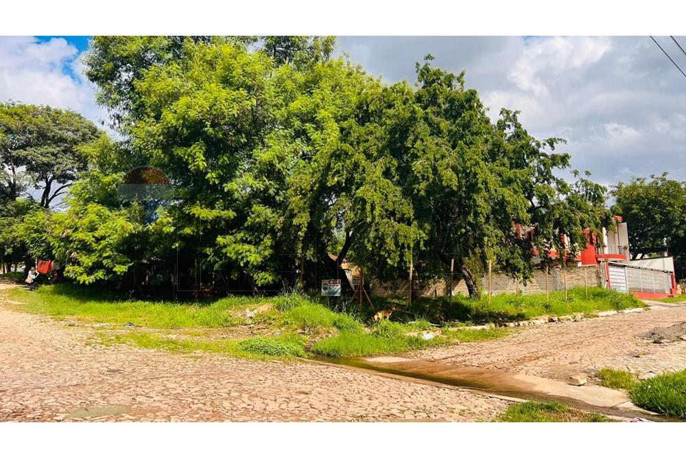 EXCELENTE OPORTUNIDAD EN VENTA TERRENO EN LOMA PYTA  ASUNCION — foto 3