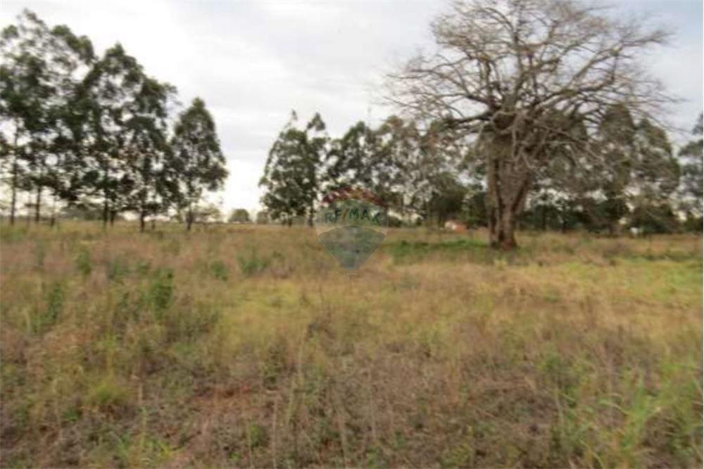 Vendo Campo en Canindeyú Corpus Chístis — foto 2