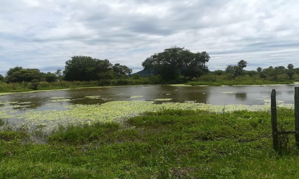 Vendo HERMOSA estancia en YAGUARON — foto 3