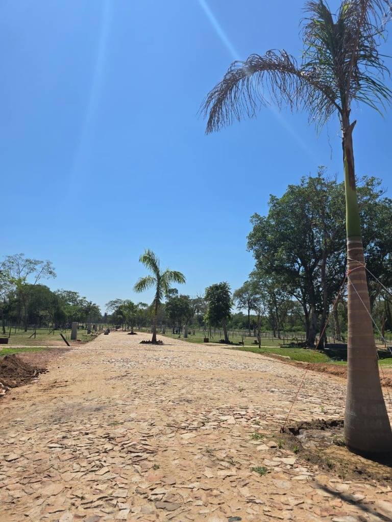 VENTA DE TERRENO EN COMPLEJO AREGUA FOREST — foto 3
