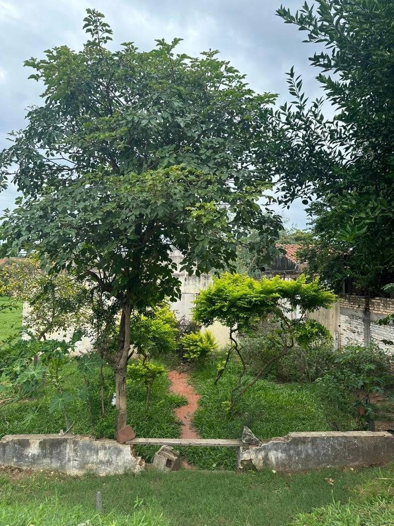 TERRENO EN VENTA EN LAMBARÉ, BARRIO KENNEDY — foto 3