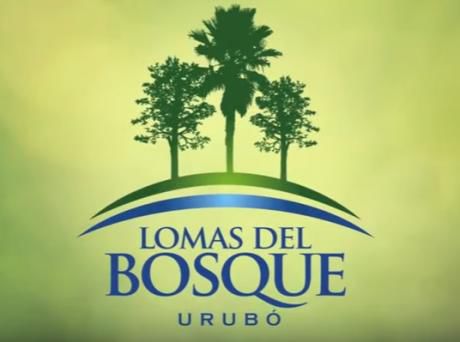 Terreno En El Urubo - Lomas Del Bosque