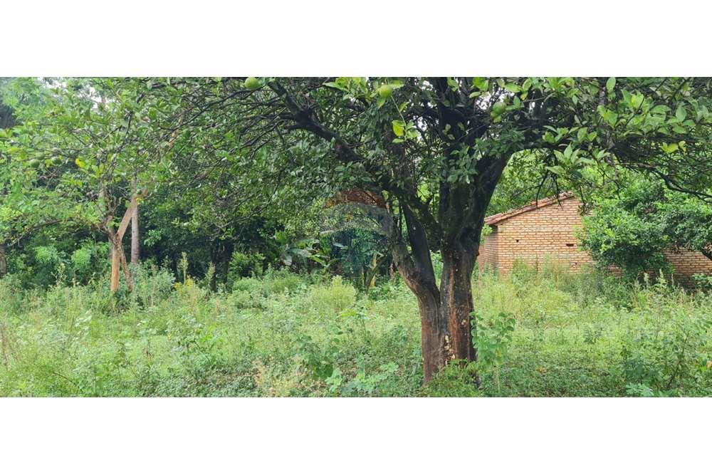 VENDO LINDO TERRENO EN YAGUARON — foto 2