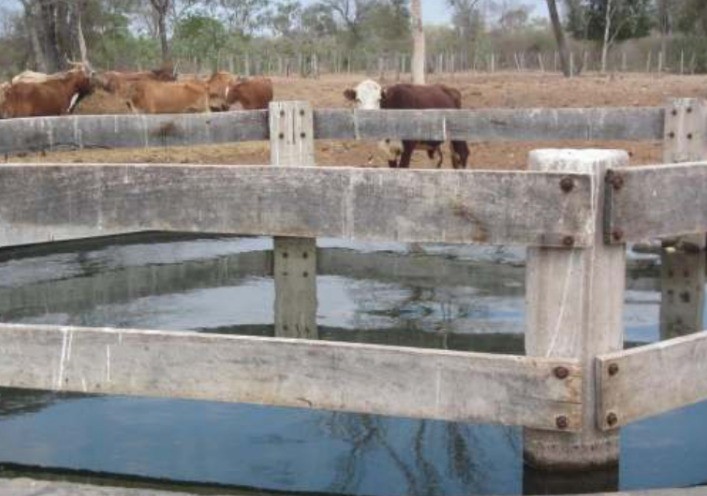 Vendo Establecimiento Ganadero en Bahia Negra — foto 3