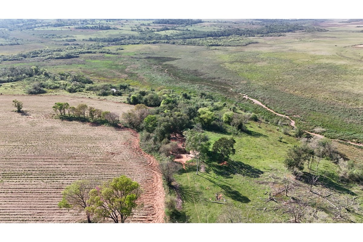 Estancia/Campo-Venta-Caaguazú, Caaguazú — foto 2