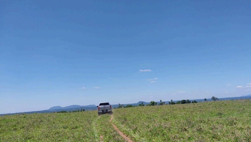 Vendo Campo de 270 Hectáreas en Paraguarí, Distrito de Quiindy - CLCS6960059 — foto 3
