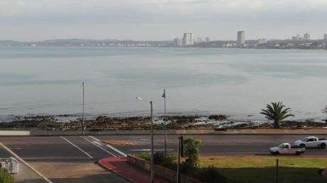 Alquilo Anual (12 Meses) Apartamento En Punta Del Este