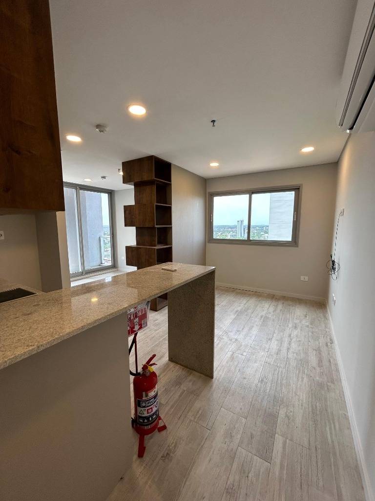 ALQUILO DEPARTAMENTO - UNICO AVDA MOLAS LOPEZ — foto 3
