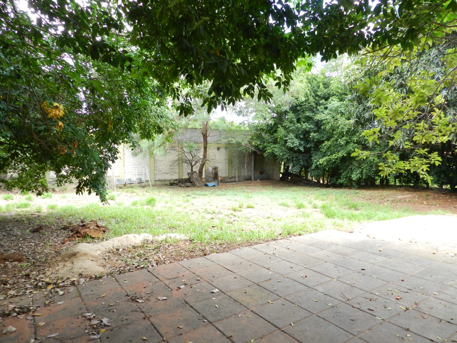 ALQUILO TINGLADO EN VILLA ELISA – A SOLO 830 M DE ACCESO SUR — foto 3