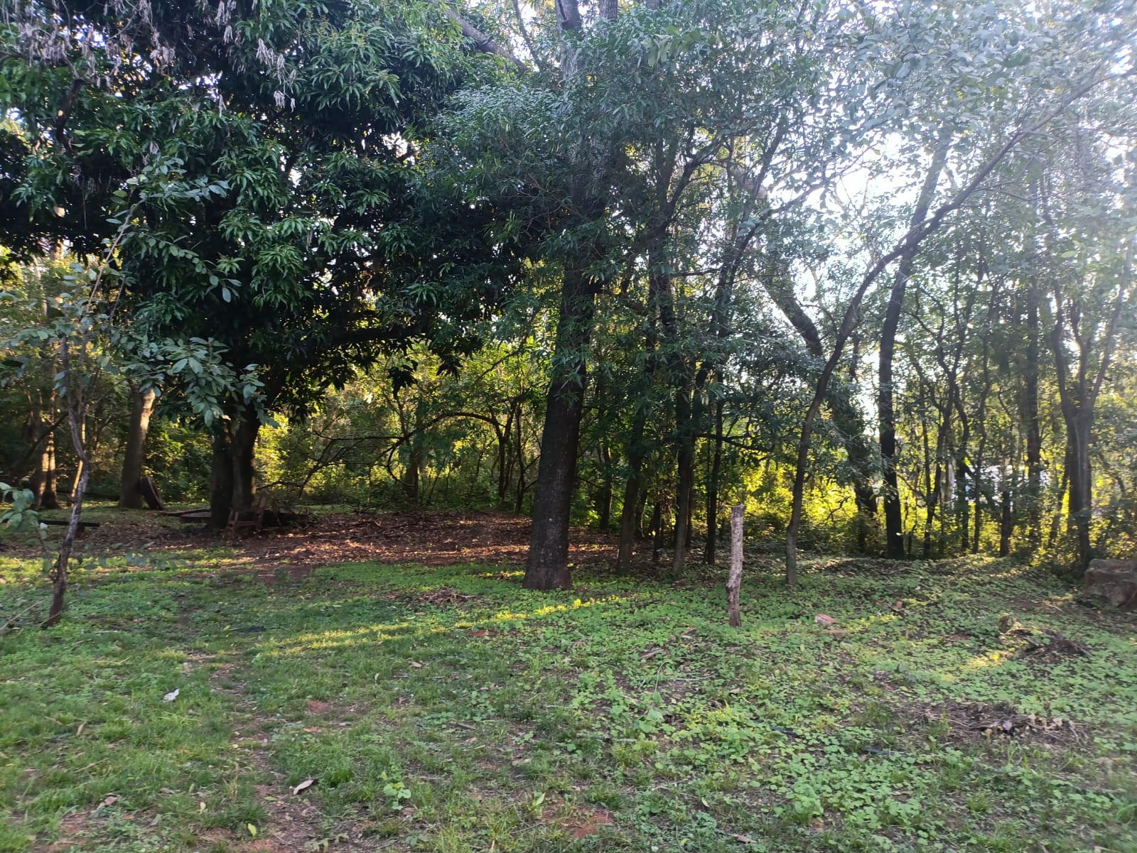 Vendo Terreno En Caacupe Aquino Cañada — foto 3